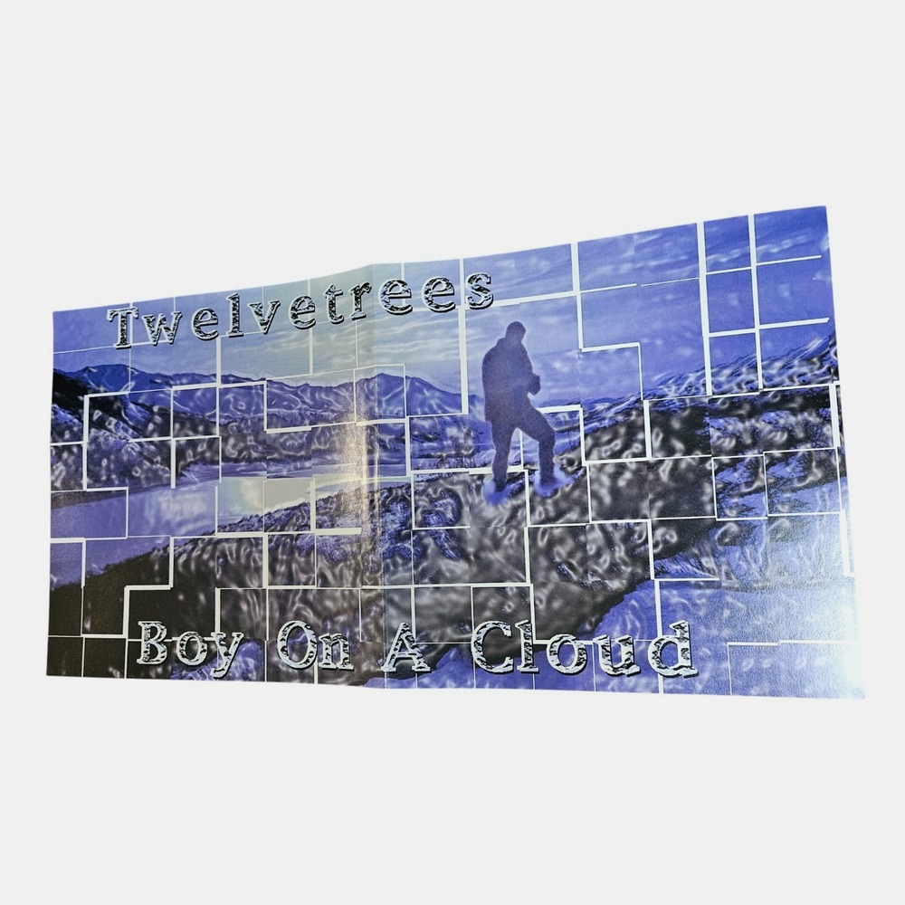 Twelvetrees‎ Boy on a Cloud 1998 Promo Poster 12x24 Double Sided Mercury Records